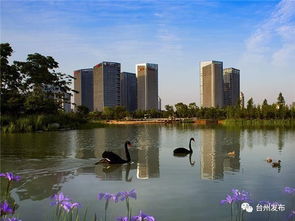 特色城市风貌如何塑造 台州山海水城 美丽计划 告诉你