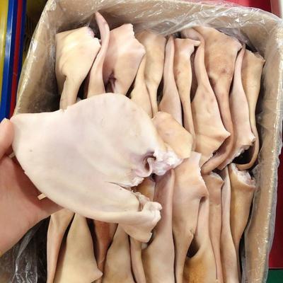 浙江台州温岭市新鲜猪耳朵批发 价格实惠，品质保证