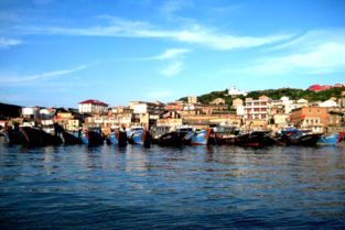 台州大陈 “渔小二”便民服务不停步，助力海岛生活更便捷