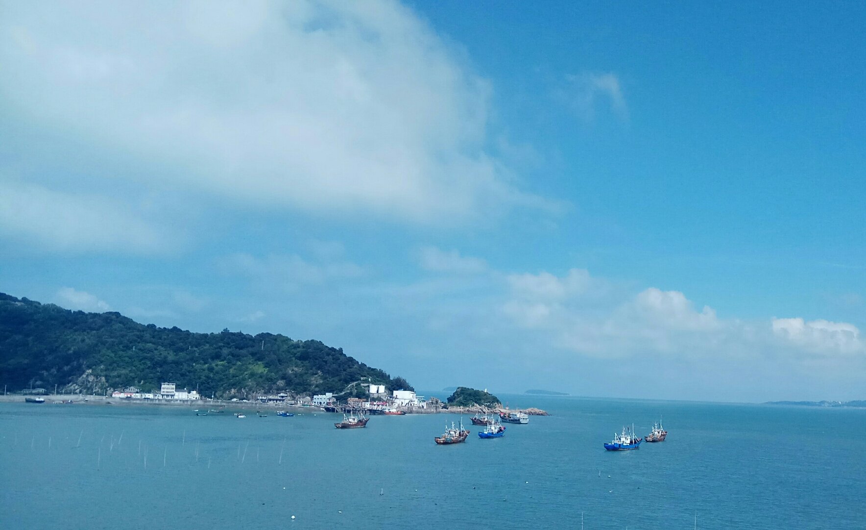 探访台州玉环县大麦屿街道龙湾村 乡村振兴的基层实践